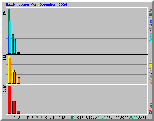 Daily usage for December 2024
