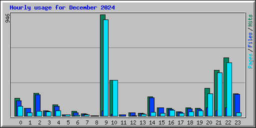 Hourly usage for December 2024