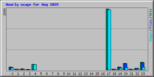 Hourly usage for May 2025