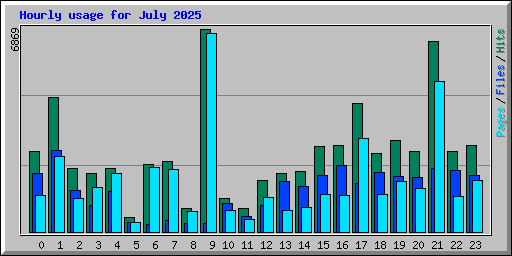 Hourly usage for July 2025